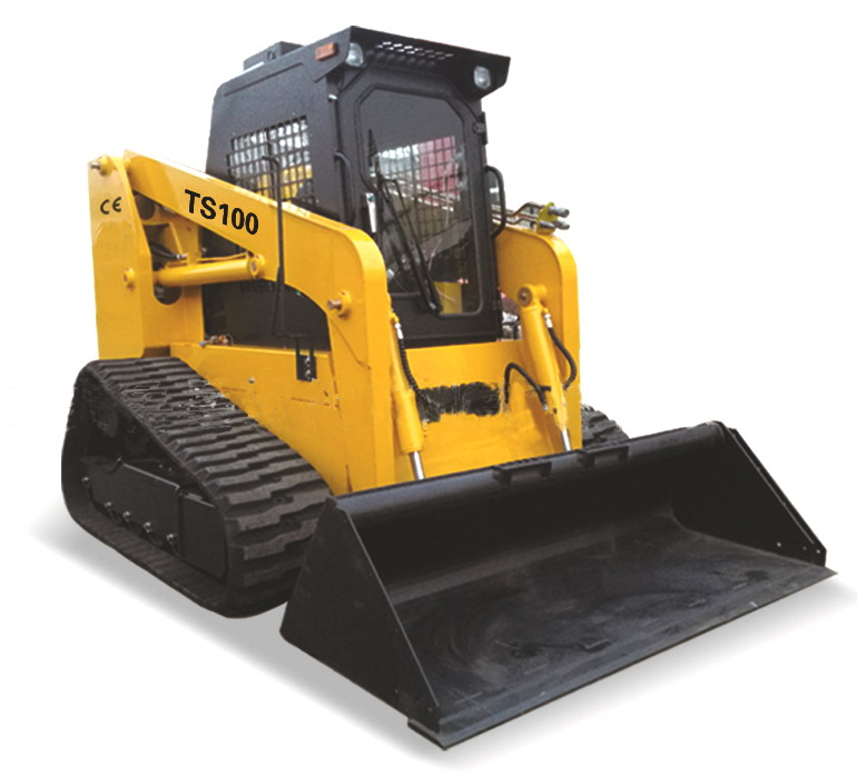 TS100